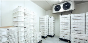 industrial refrigeration design